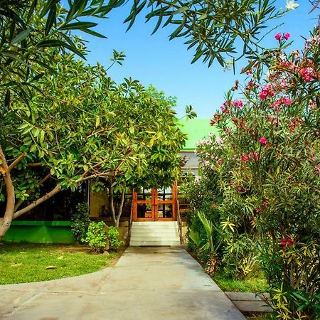 Hotel Del Valle Azapa أريكا المظهر الخارجي الصورة
