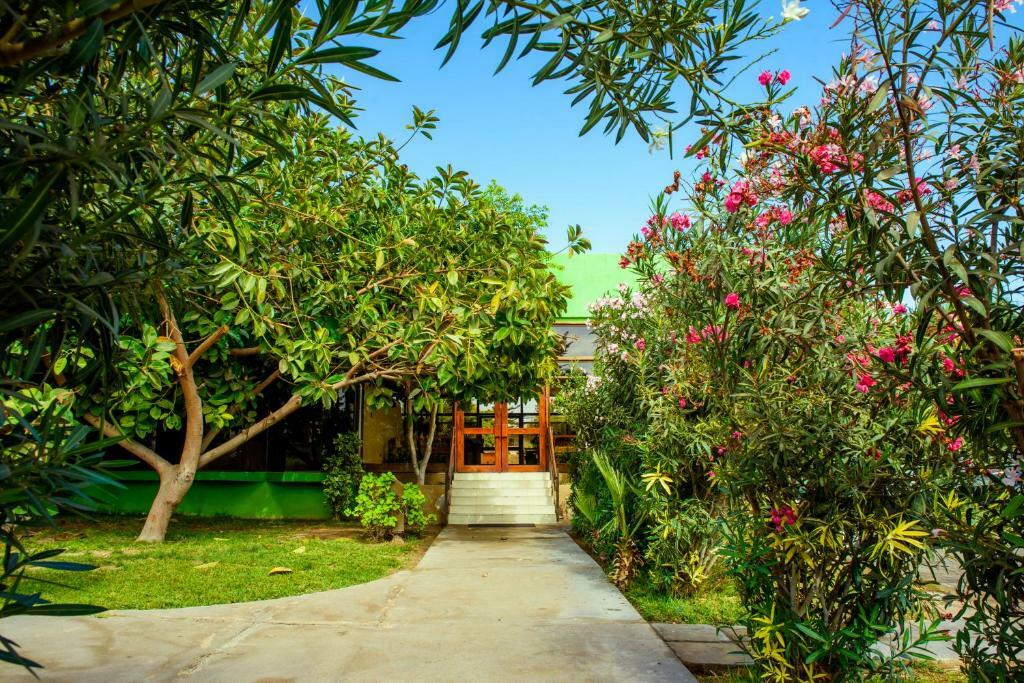 Hotel Del Valle Azapa أريكا المظهر الخارجي الصورة