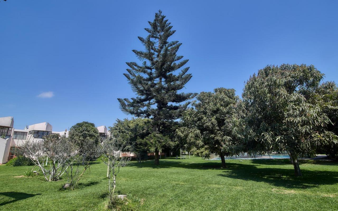 Hotel Del Valle Azapa أريكا المظهر الخارجي الصورة